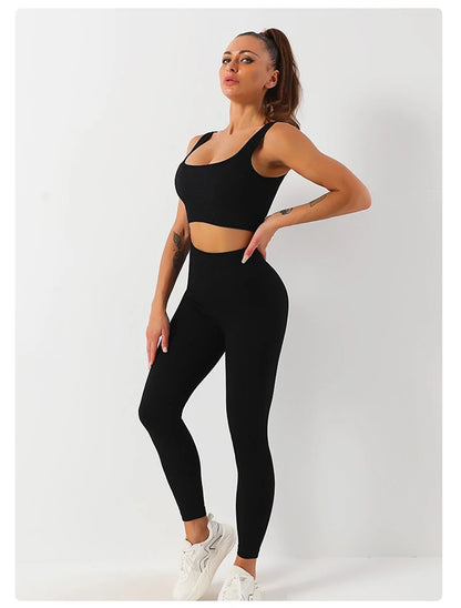 Conjunto - Velvet Berry